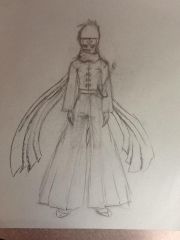 The Hitokiri Tenshikage