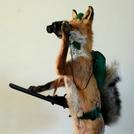 Afoxonthehunt