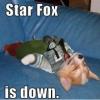 kkstarfox