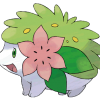 Shaymin